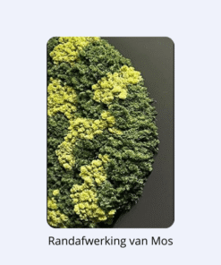 Alternative view of Moscirkel drie kleurig