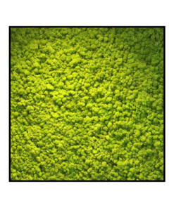 Mosvierkant springgroen