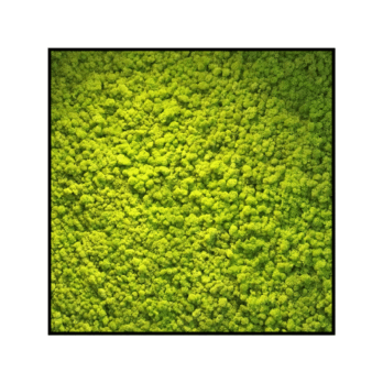 Mosvierkant springgroen