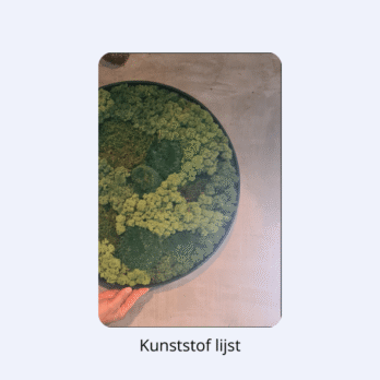 Alternative view of Moscirkel Gemixt mos