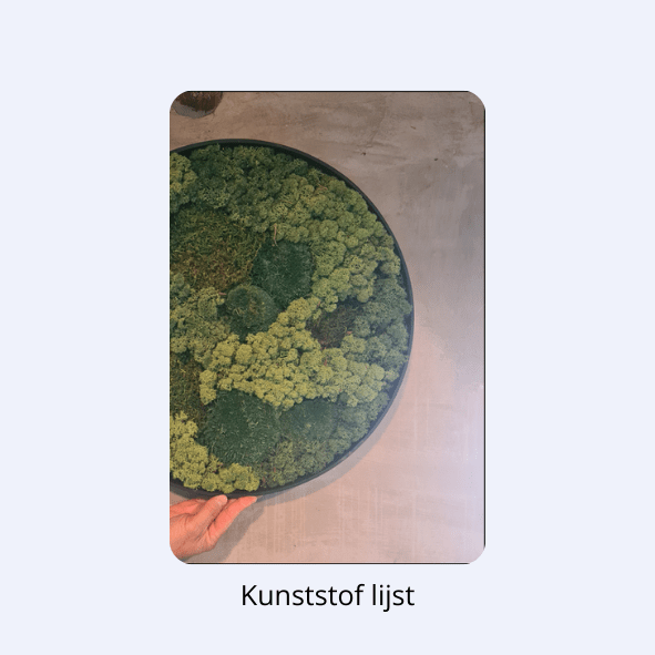 Moscirkel drie kleurig - Afbeelding 3