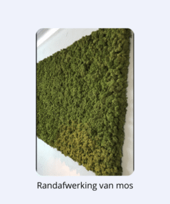 Alternative view of Mosvierkant gemixt mos