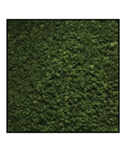 Mosvierkant mosgroen