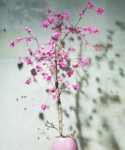 Kunst Bloesemboom