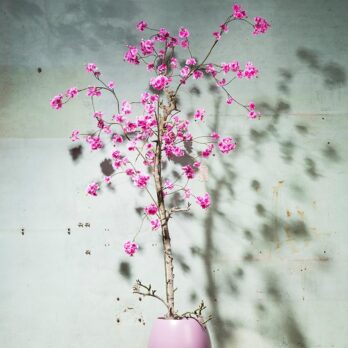 Kunst Bloesemboom