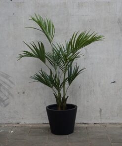 Kunst Kentia palm in zwarte pot