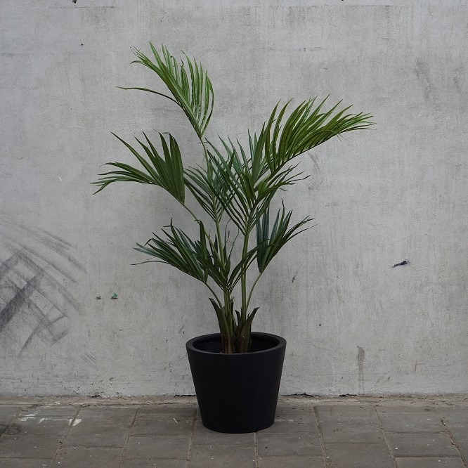 Kunst Kentia palm in zwarte pot