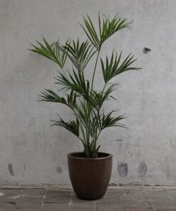 Kunst Kentia palm in koperen pot