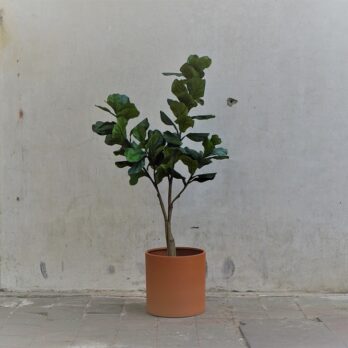 Kunst Ficus Lyrata in pot naar keuze