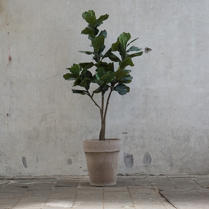 Kunst Ficus Lyrata in grijs terra pot