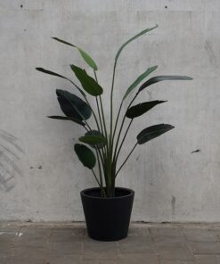 Kunst Strelitzia in zwarte pot