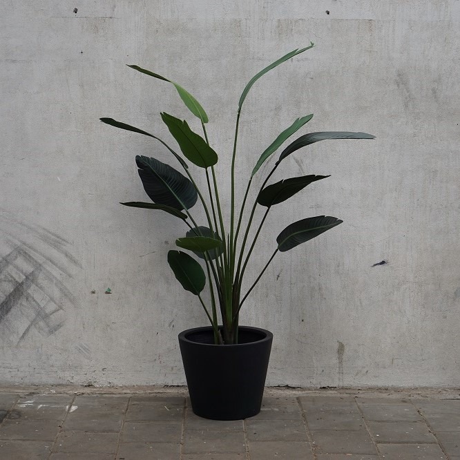Kunst Strelitzia in zwarte pot