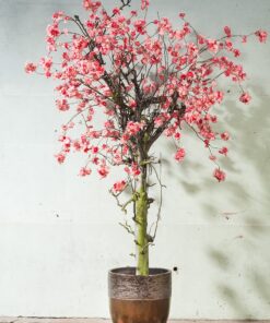 Kunst Bloesemboom groot