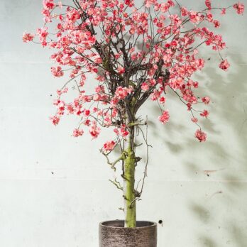 Kunst Bloesemboom groot