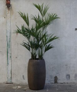 Kunst Kentia palm in bronzen pot