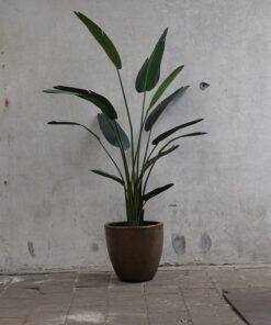 Kunst Strelitzia in koperen pot