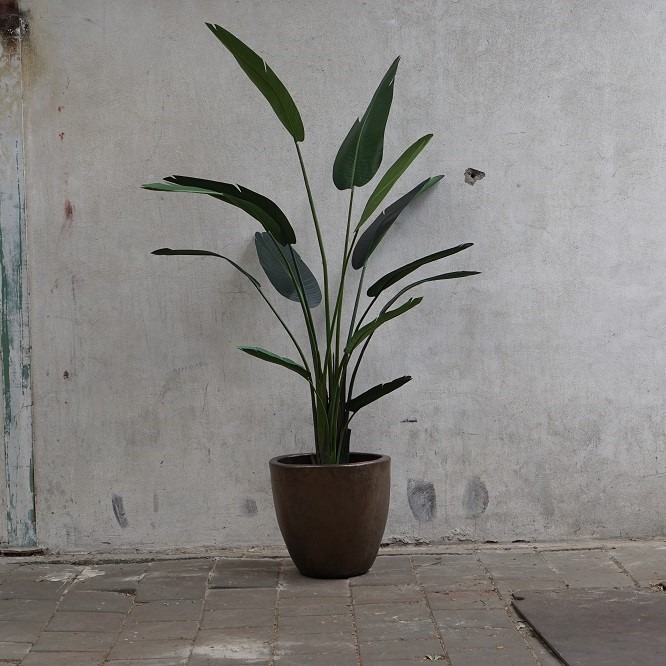 Kunst Strelitzia in koperen pot