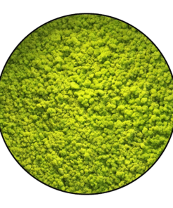 Moscirkel Springgroen