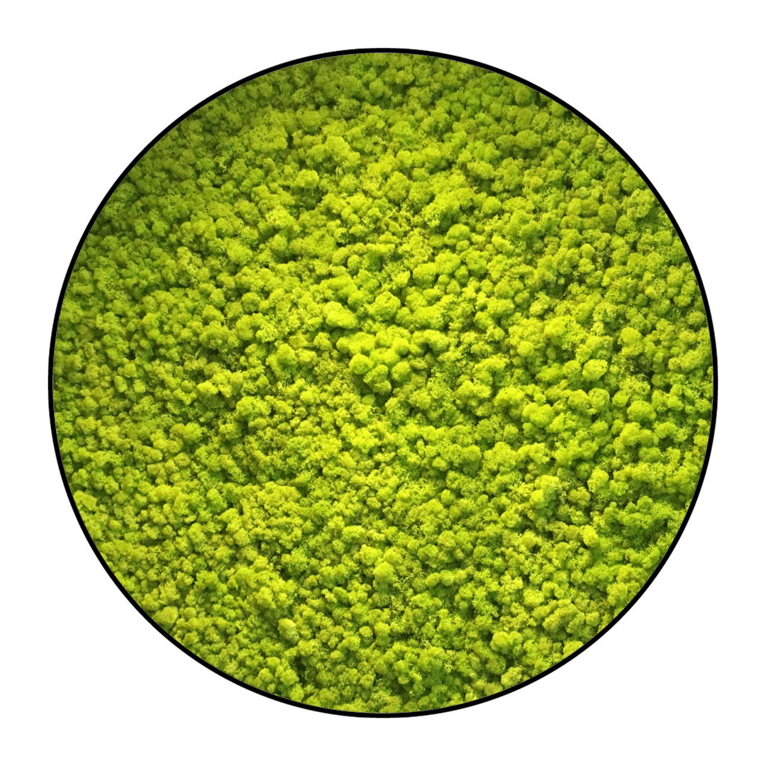 Moscirkel Springgroen