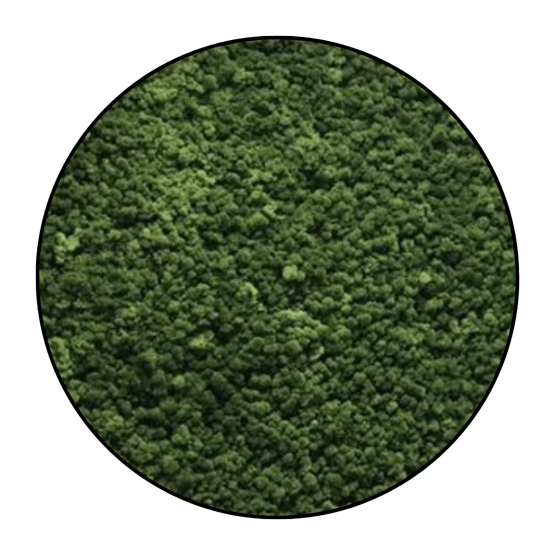 Moscirkel Mosgroen