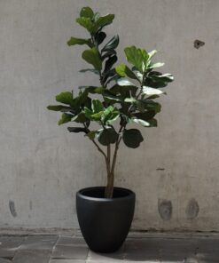 Kunst Ficus Lyrata in polystone pot