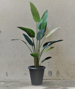 Kunst Strelitzia in zwarte pot